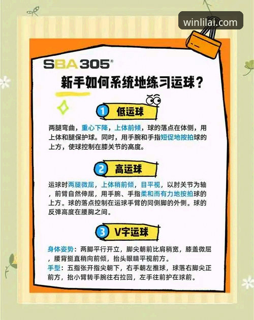 利来体育互动体验 利来体育互动体验实用指南:从入门到精通的必备知识